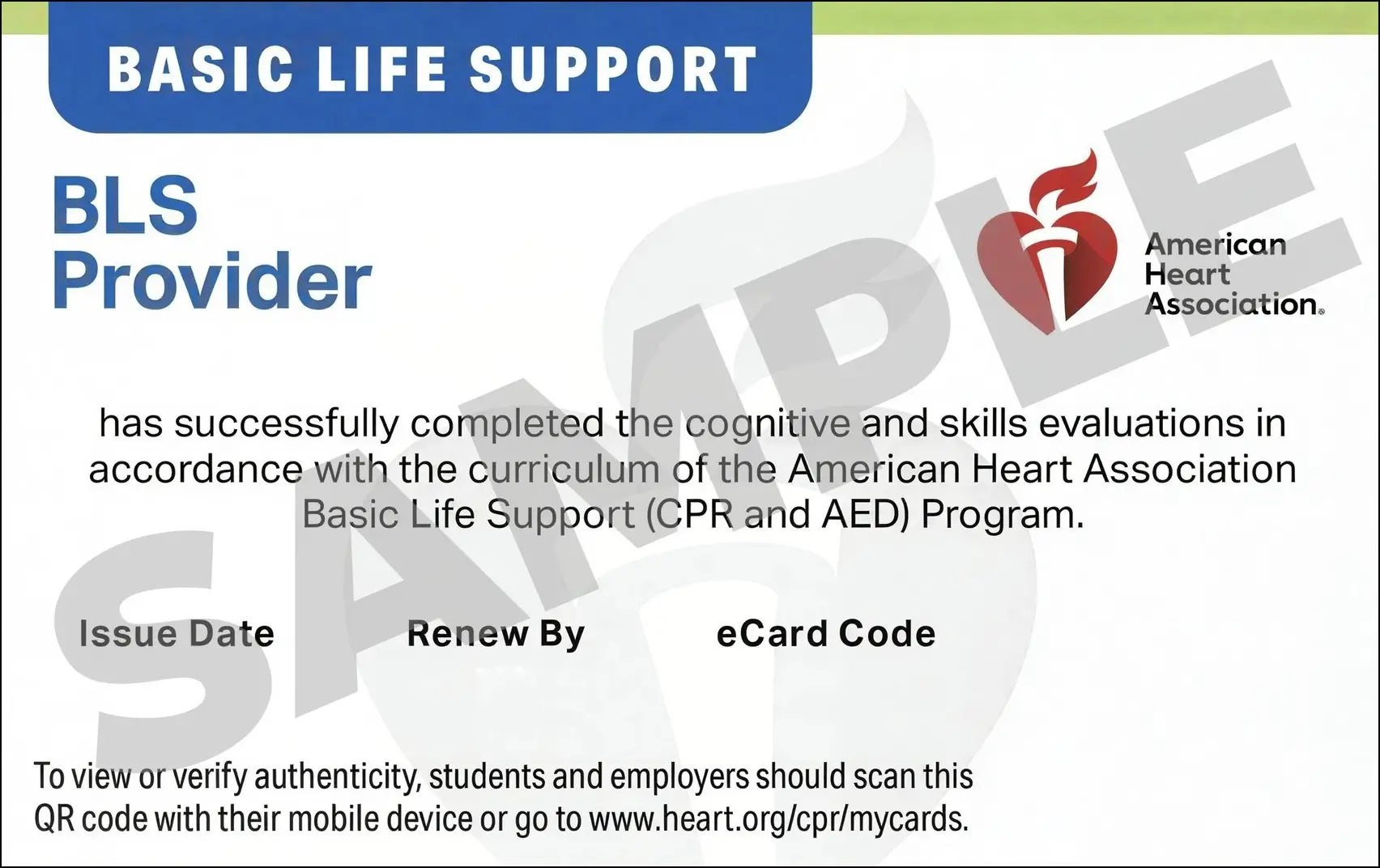 Sample American Heart Association AHA BLS CPR Card Certification from CPR Certification New Haven